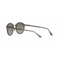 Ray-Ban RB 4242 620088