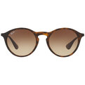 Ray-Ban RB 4243 865/13