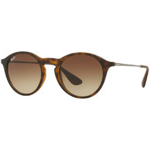 Ray-Ban RB 4243 865/13