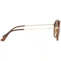 Ray-Ban RB 4253 820/A6