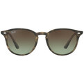 Ray-Ban RB 4259 731/E8