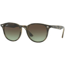 Ray-Ban RB 4259 731/E8