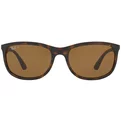 Ray-Ban RB 4267 710/83