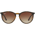 Ray-Ban RB 4274 856/13