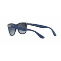 Ray-Ban Wayfarer Liteforce RB 4195 60158G