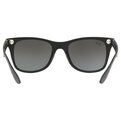 Ray-Ban Wayfarer Liteforce RB 4195 601S88