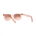 Ray-Ban Wayfarer Liteforce RB 4195 624830