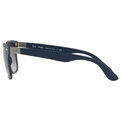 Ray-Ban Wayfarer Liteforce RB 4195 63318G