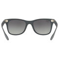 Ray-Ban Wayfarer Liteforce RB 4195 633211