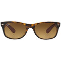 Ray-Ban Wayfarer RB 2132 618185