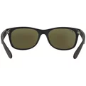 Ray-Ban Wayfarer RB 2132 622/30