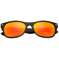 Ray-Ban Wayfarer RB 2132 622/69